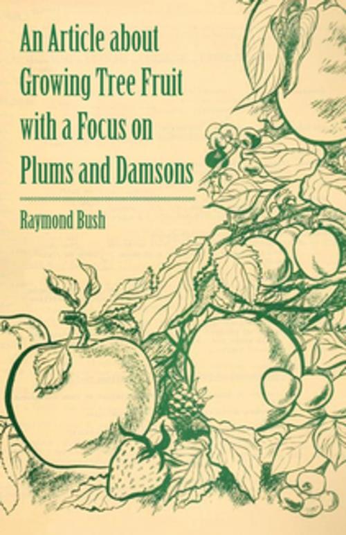 Cover of the book An Article about Growing Tree Fruit with a Focus on Plums and Damsons by Raymond Bush, Read Books Ltd.