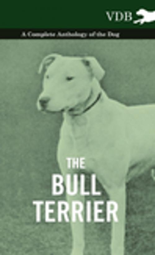 Cover of the book The Bull Terrier - A Complete Anthology of the Dog - by Various, Read Books Ltd.