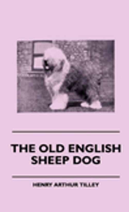 Cover of the book The Old English Sheep Dog by Henry Arthur Tilley, Read Books Ltd.