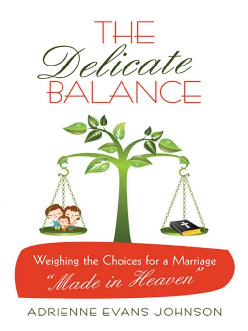 Cover of the book The Delicate Balance by Adrienne Evans Johnson, WestBow Press