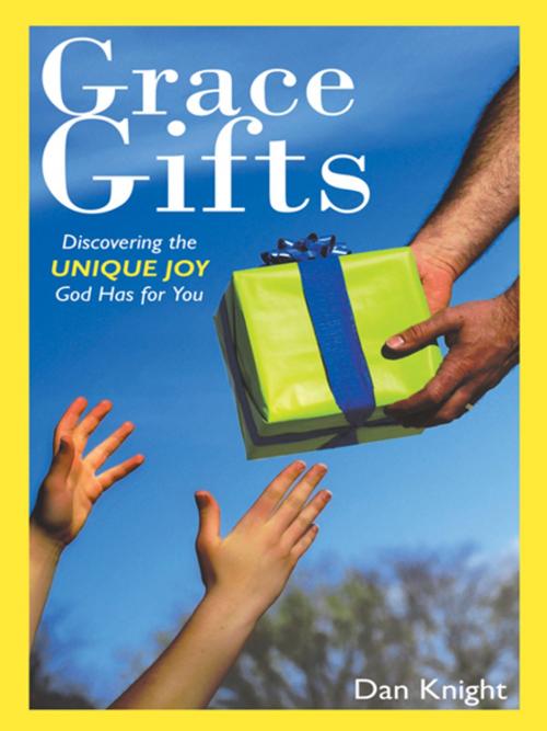 Cover of the book Grace Gifts by Dan Knight, WestBow Press