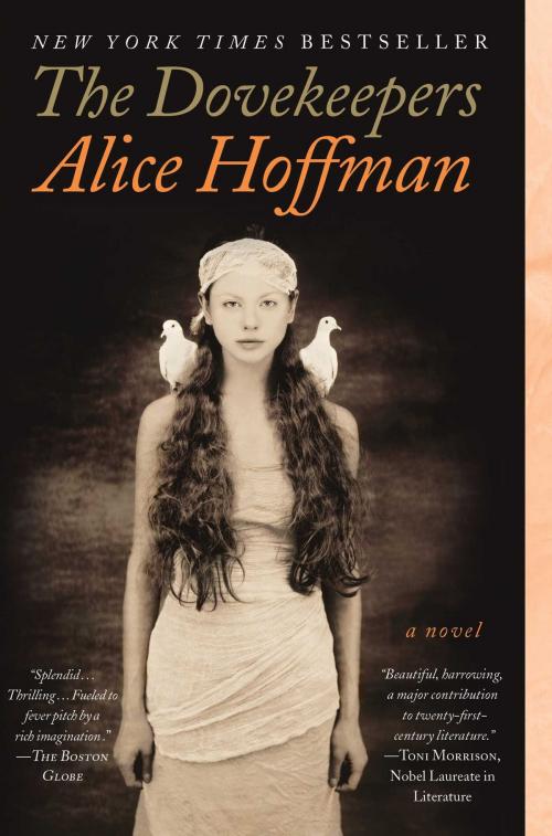 Cover of the book The Dovekeepers by Alice Hoffman, Scribner