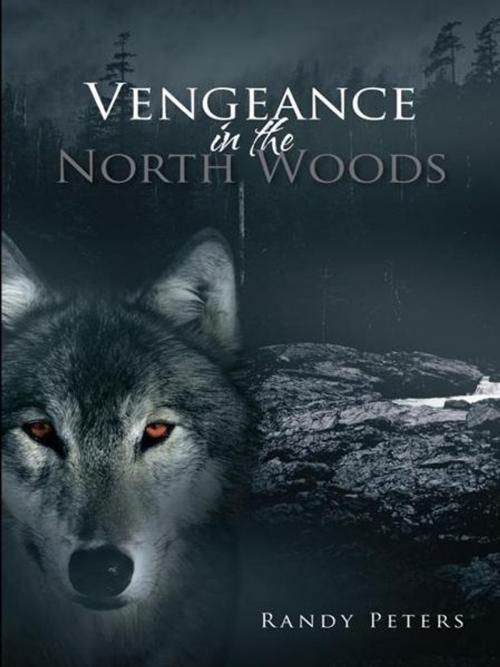 Cover of the book Vengeance in the North Woods by Randy Peters, AuthorHouse