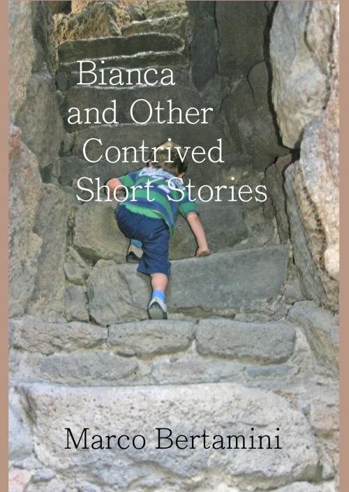 Cover of the book Bianca and Other Contrived Short Stories by Marco Bertamini, Marco Bertamini