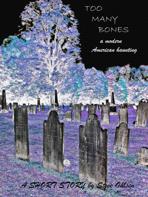 Cover of the book Too Many Bones by Steve Ohlsen, Steve Ohlsen