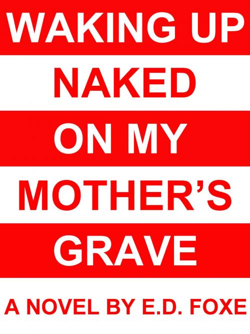 Cover of the book Waking Up Naked On My Mother's Grave by E.D. Foxe, Hesitation Press
