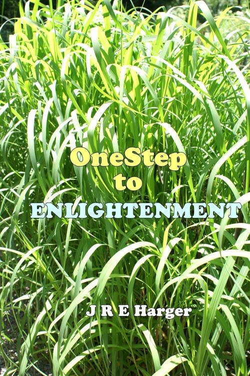 Cover of the book One Step To Enlightenment by J. Robin E. Harger, J. Robin E. Harger