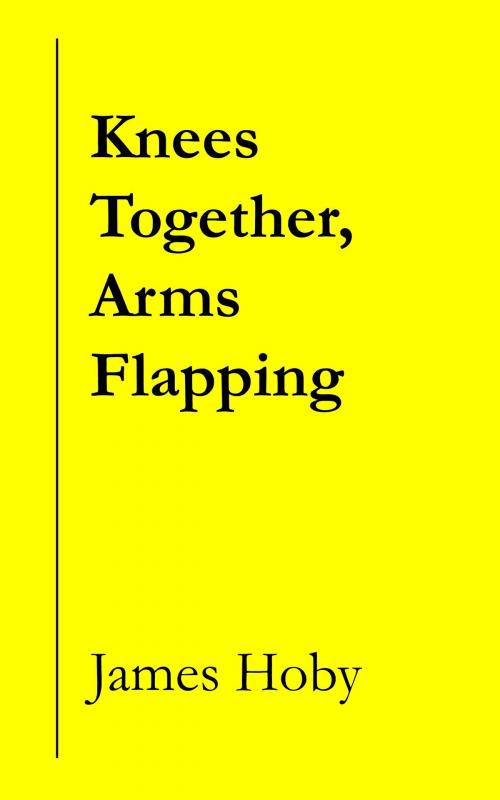 Cover of the book Knees Together, Arms Flapping by James Hoby, Hesitation Press