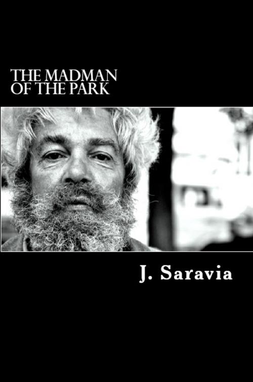 Cover of the book The madman of the park by J. Saravia, J. Saravia