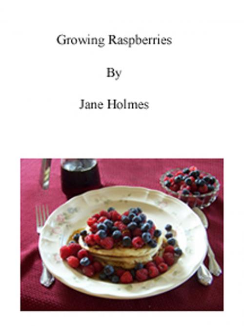 Cover of the book Growing Raspberries by Jane Holmes, Jane Holmes