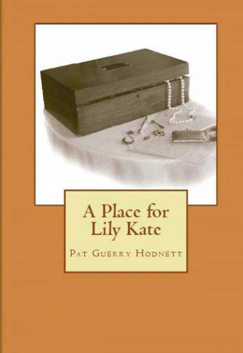 Cover of the book A Place for Lily Kate by Pat Hodnett, Red Letter Press