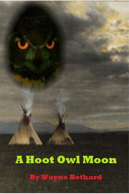 Cover of the book A Hoot Owl Moon by Wayne Bethard, Wayne Bethard