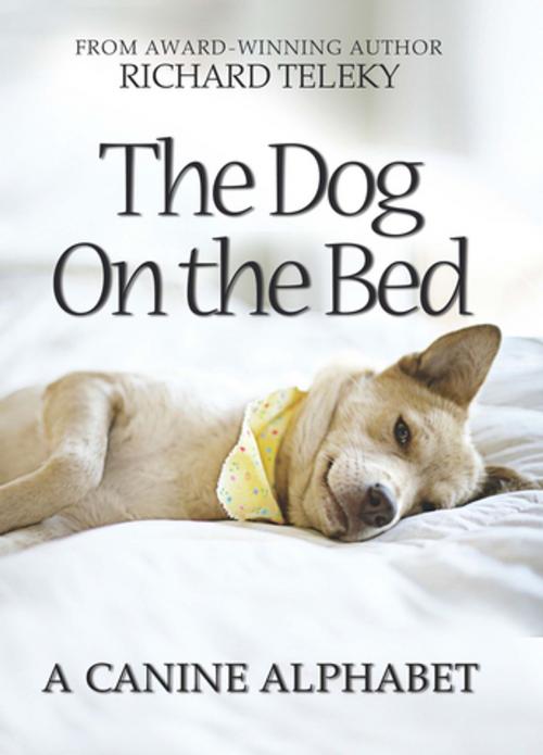 Cover of the book The Dog on the Bed by Richard Teleky, Fitzhenry & Whiteside