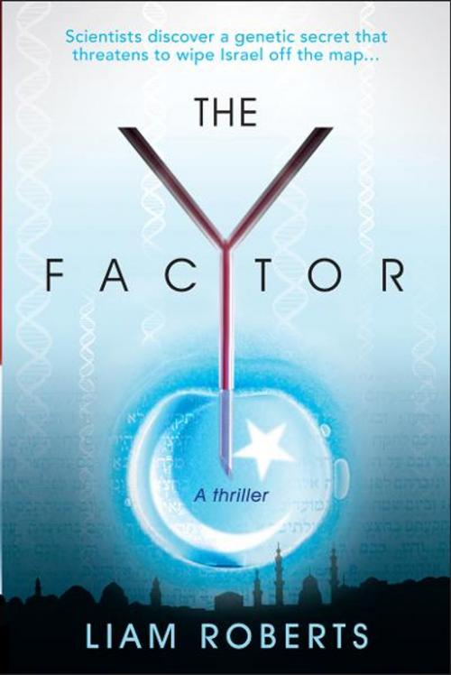 Cover of the book The Y Factor by Liam Roberts, Charisma House