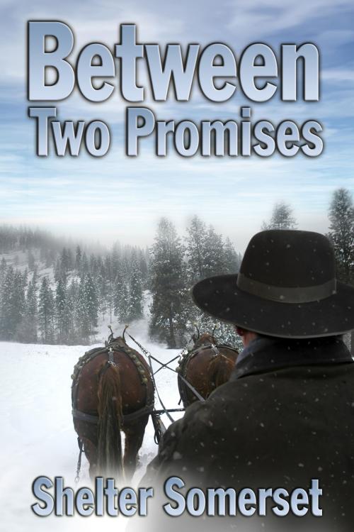 Cover of the book Between Two Promises by Shelter Somerset, Dreamspinner Press