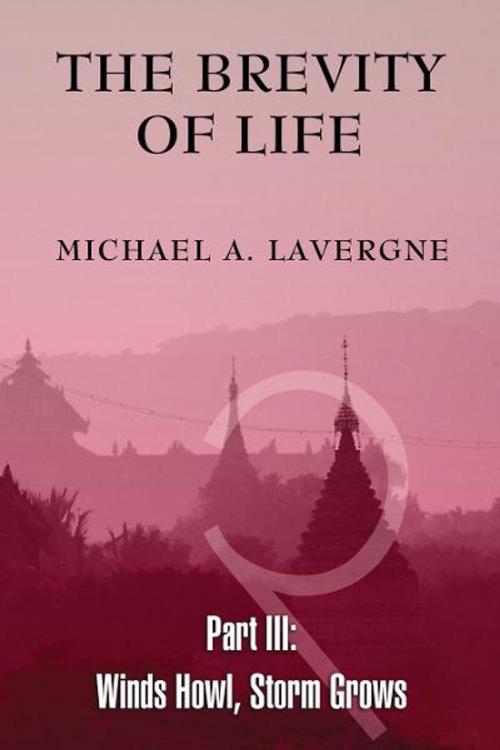 Cover of the book The Brevity of Life Part 3 by Michael A. Lavergne, BookBaby