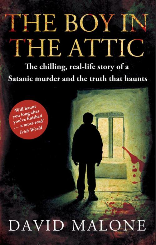 Cover of the book The Boy in the Attic by David Malone, Mainstream Publishing