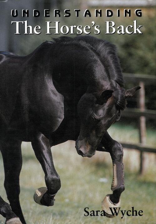 Cover of the book Understanding The Horse's Back by Sara Wyche, Crowood