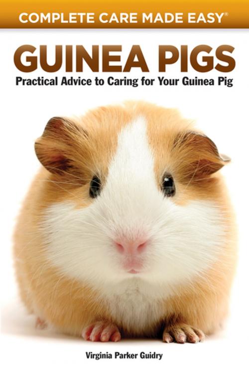 Cover of the book Guinea Pigs by Virginia Parker Guidry, CompanionHouse Books