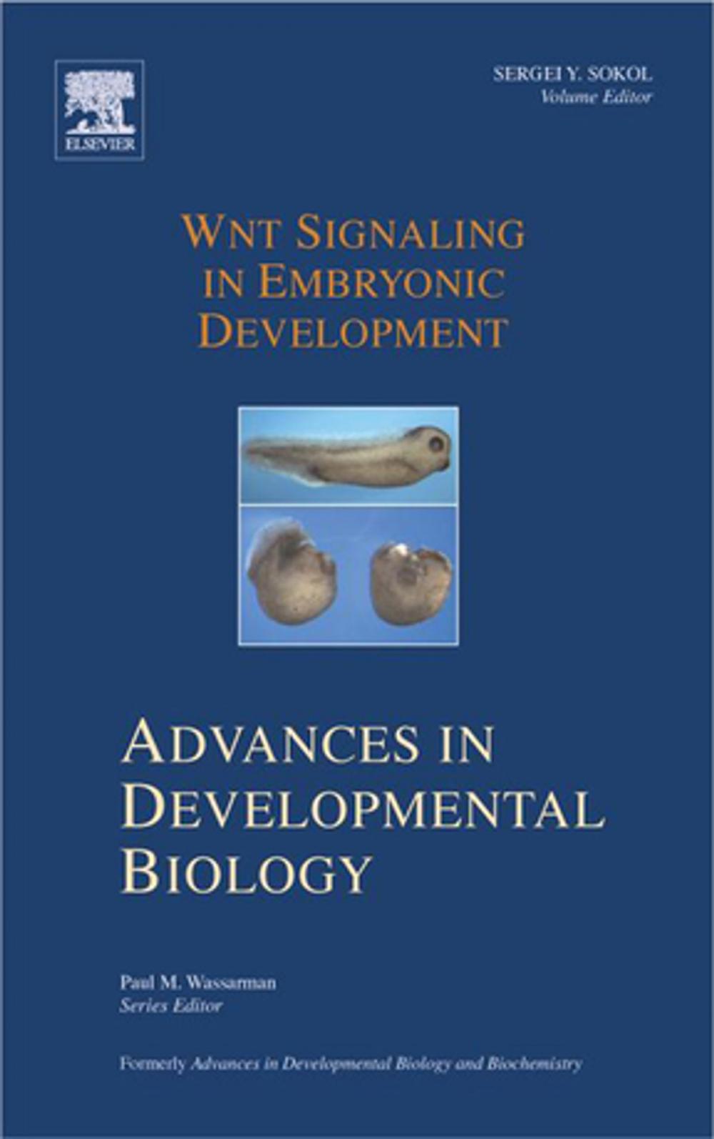 Big bigCover of Wnt Signaling in Embryonic Development