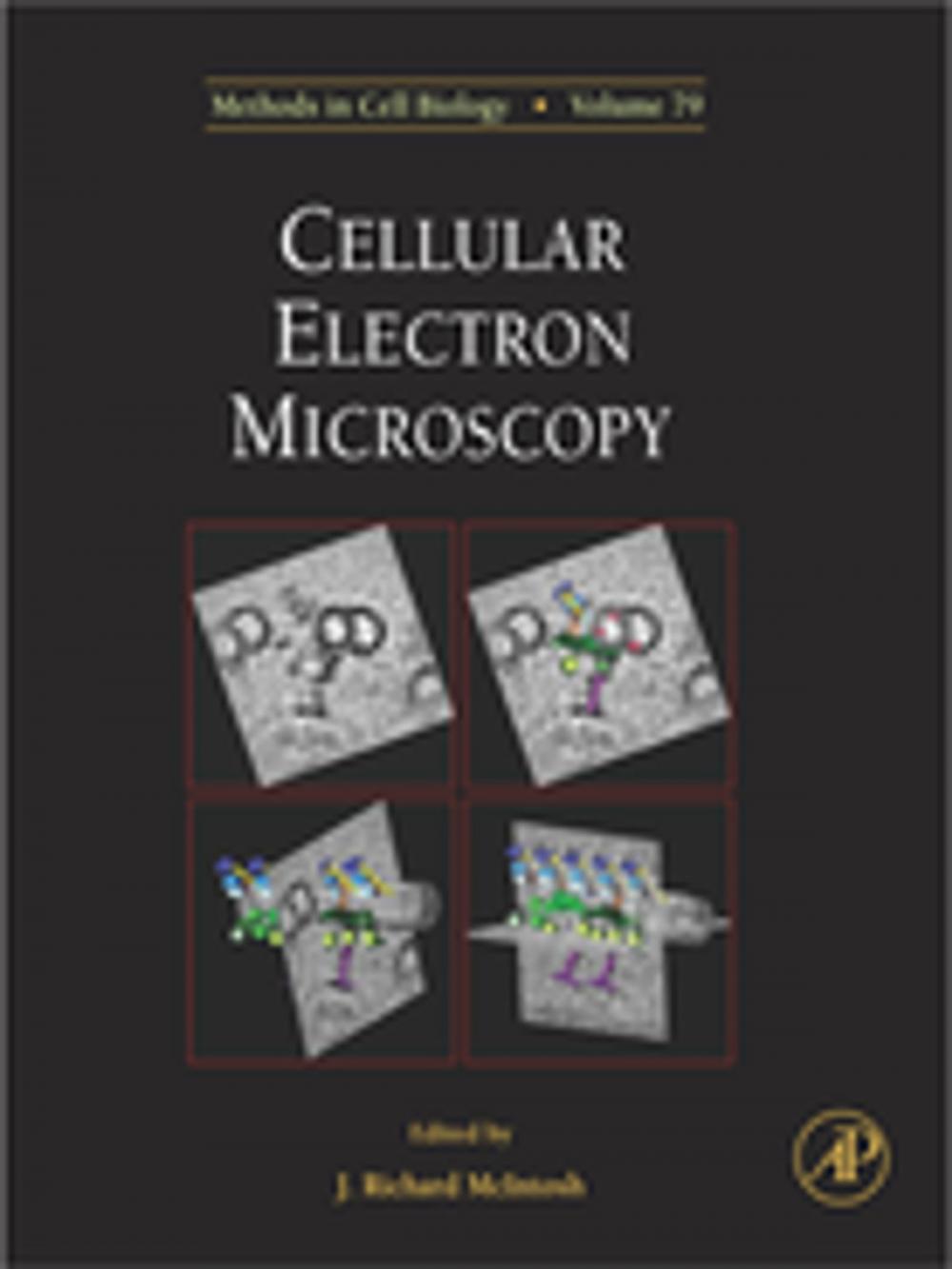 Big bigCover of Cellular Electron Microscopy