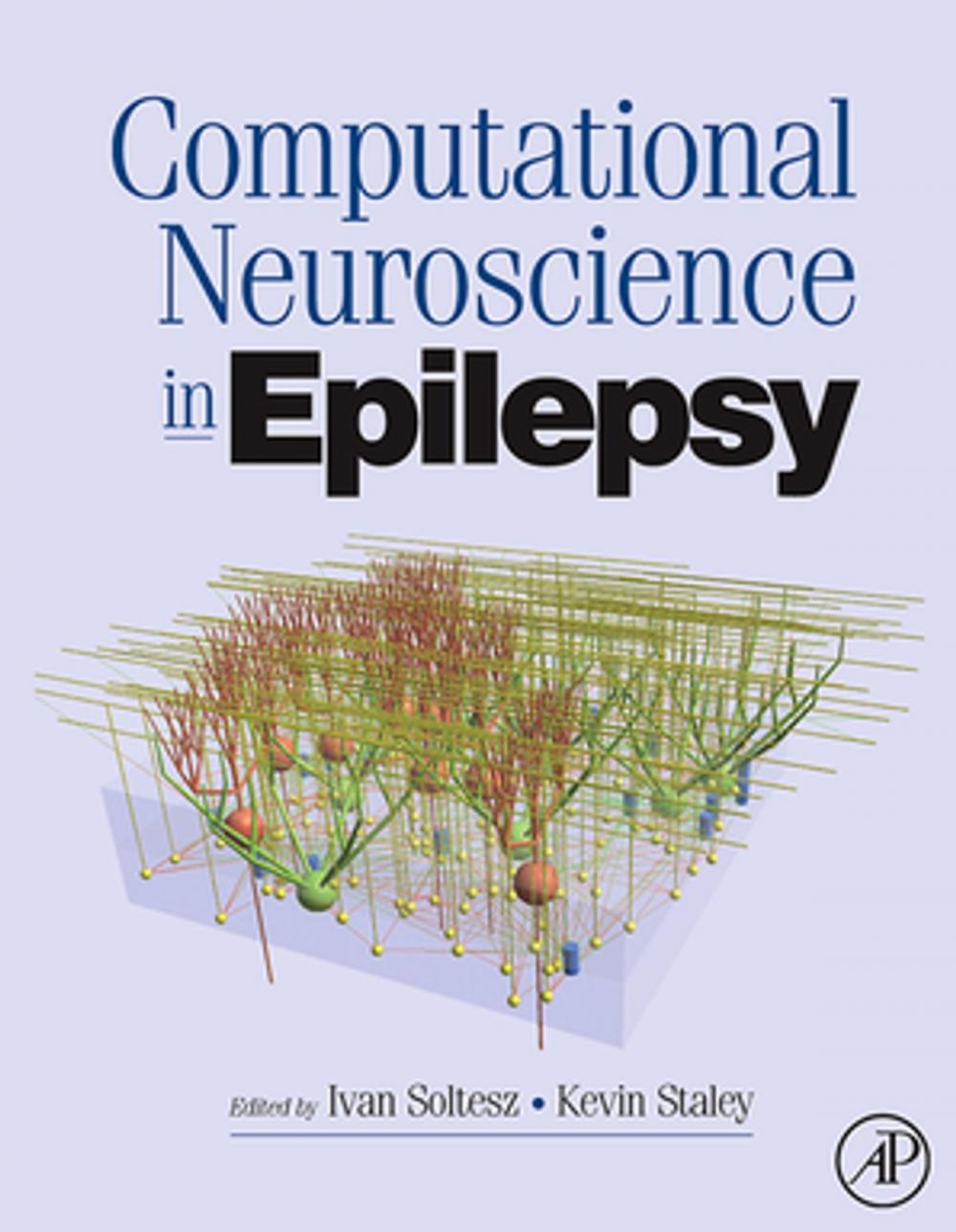 Big bigCover of Computational Neuroscience in Epilepsy