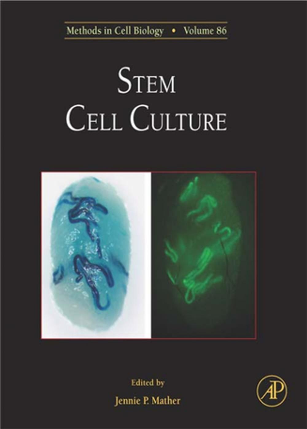 Big bigCover of Stem Cell Culture