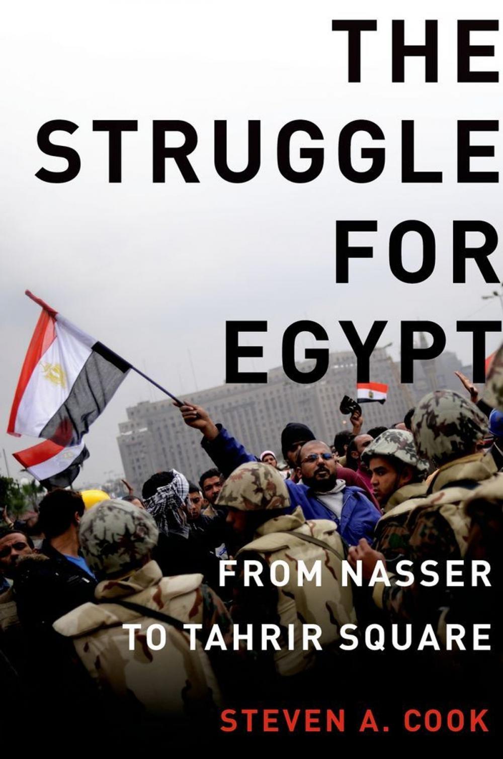 Big bigCover of The Struggle for Egypt : From Nasser to Tahrir Square