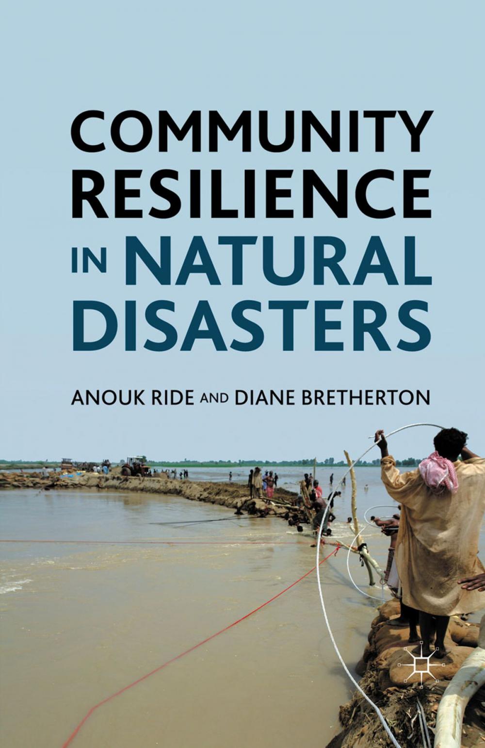 Big bigCover of Community Resilience in Natural Disasters