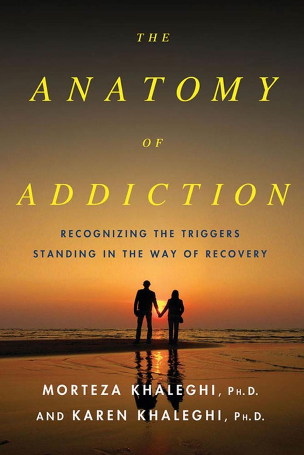 Big bigCover of The Anatomy of Addiction