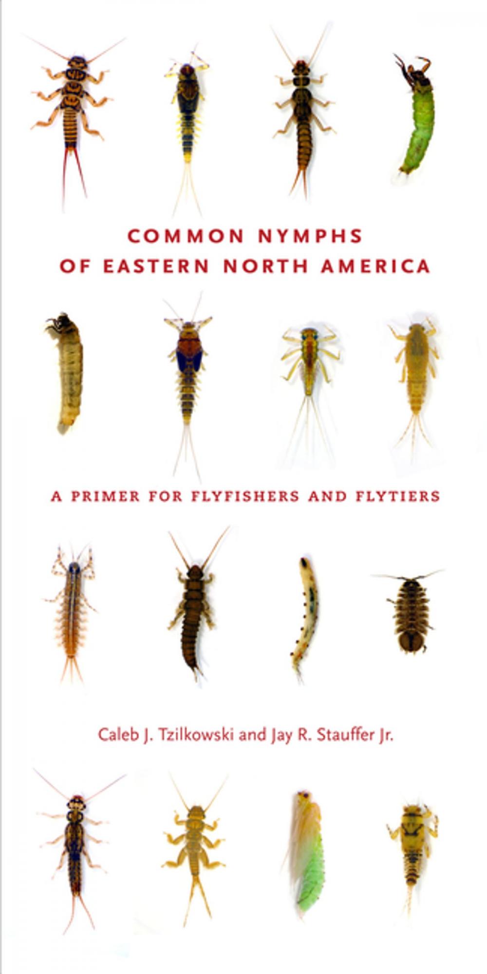 Big bigCover of Common Nymphs of Eastern North America