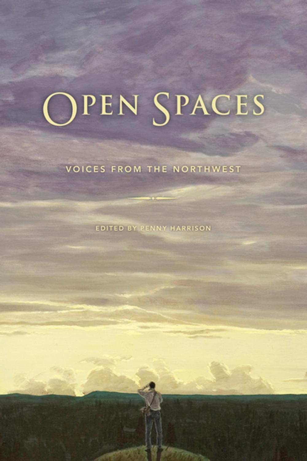 Big bigCover of Open Spaces