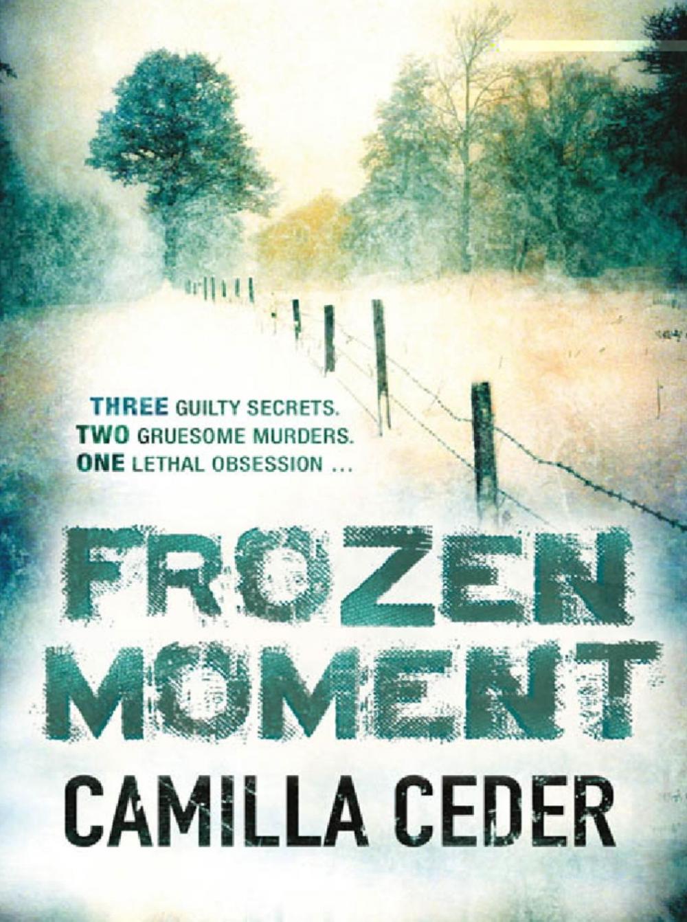 Big bigCover of Frozen Moment