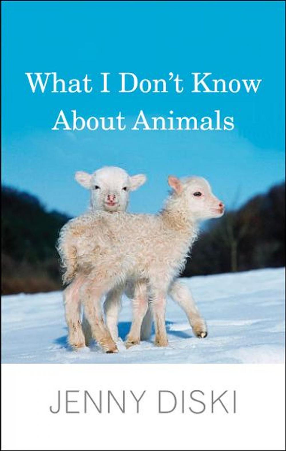 Big bigCover of What I Don't Know About Animals