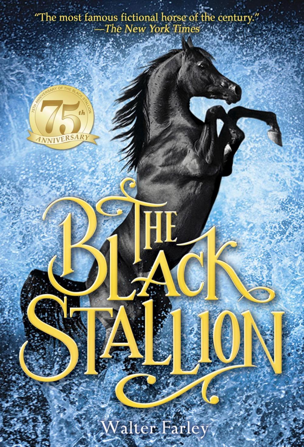 Big bigCover of The Black Stallion