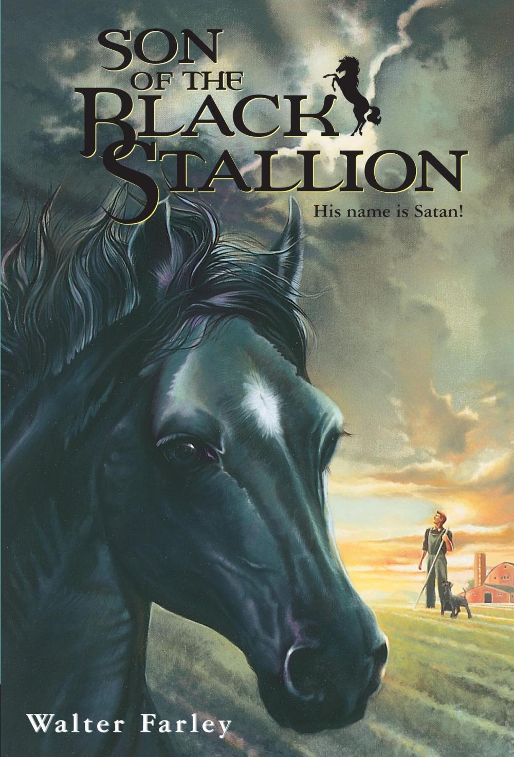 Big bigCover of Son of the Black Stallion