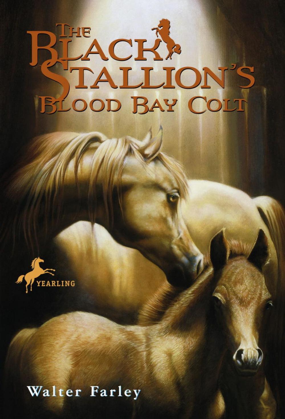 Big bigCover of The Black Stallion's Blood Bay Colt