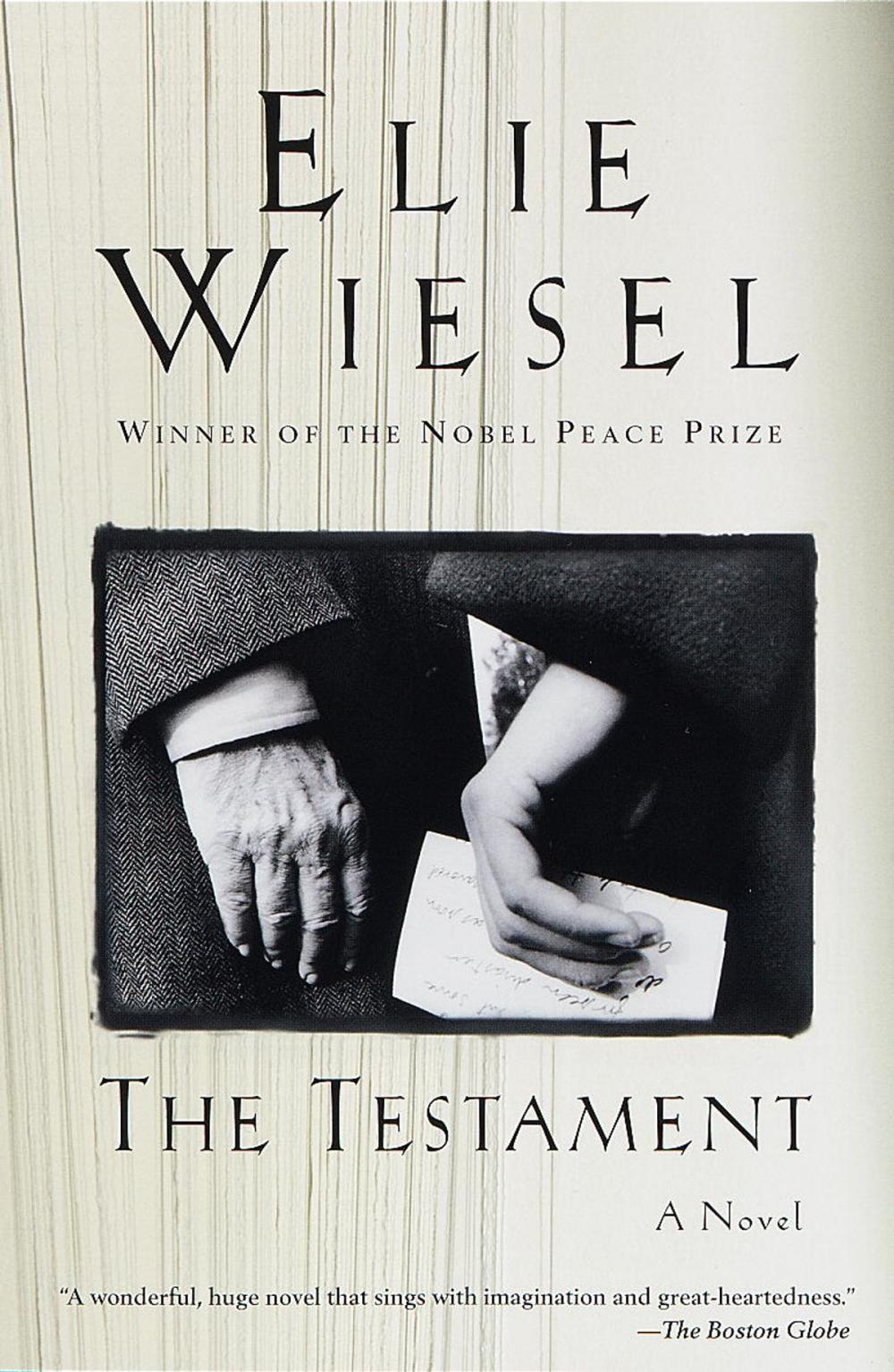 Big bigCover of The Testament