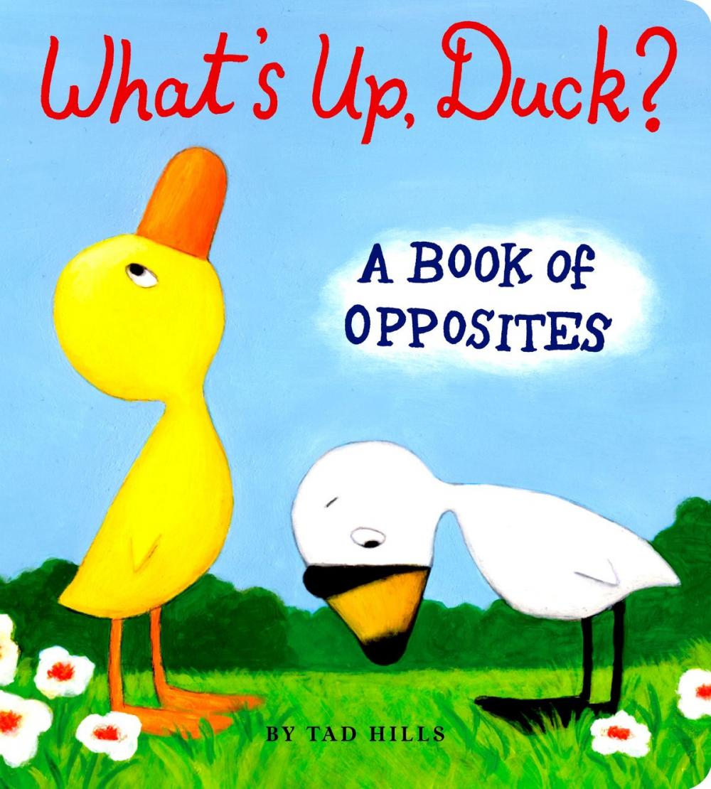 Big bigCover of What's Up, Duck?