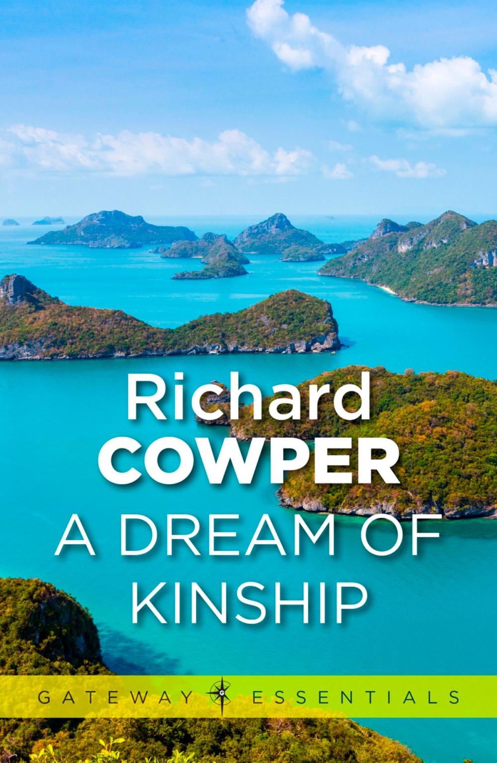 Big bigCover of A Dream of Kinship