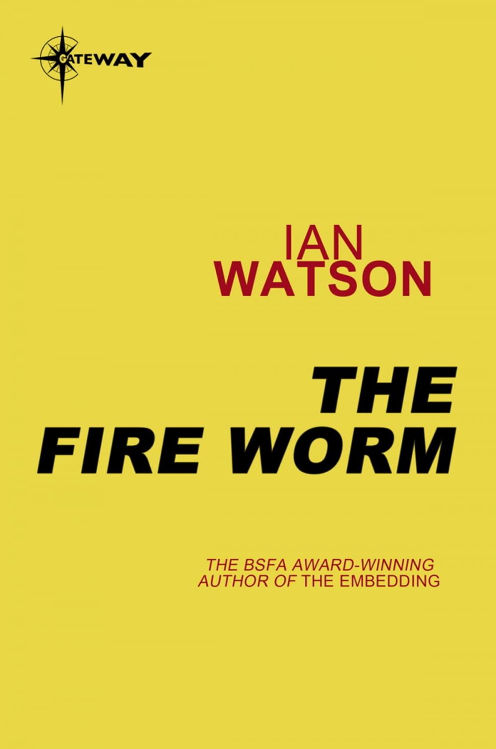 Big bigCover of The Fire Worm