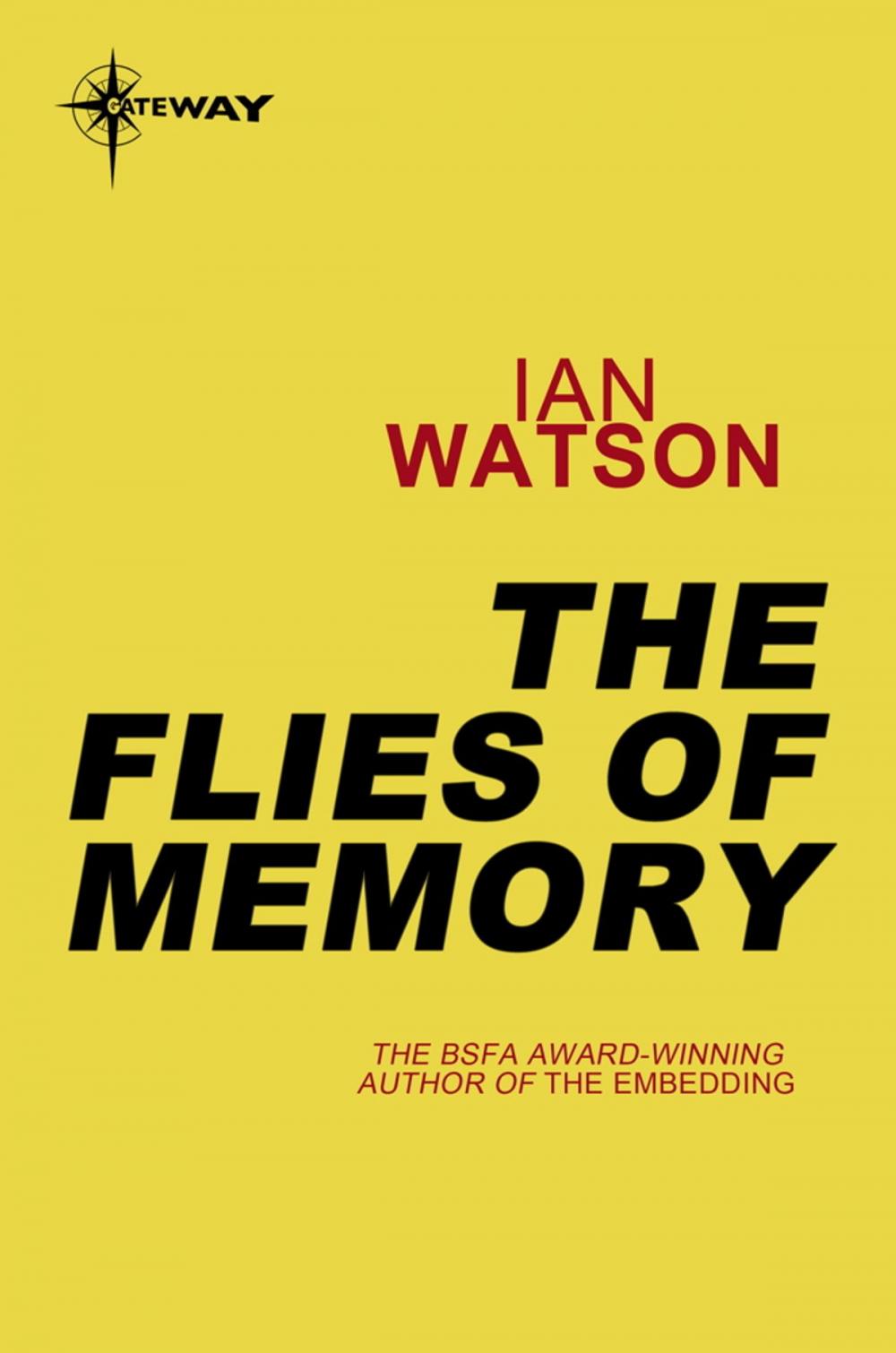 Big bigCover of The Flies of Memory