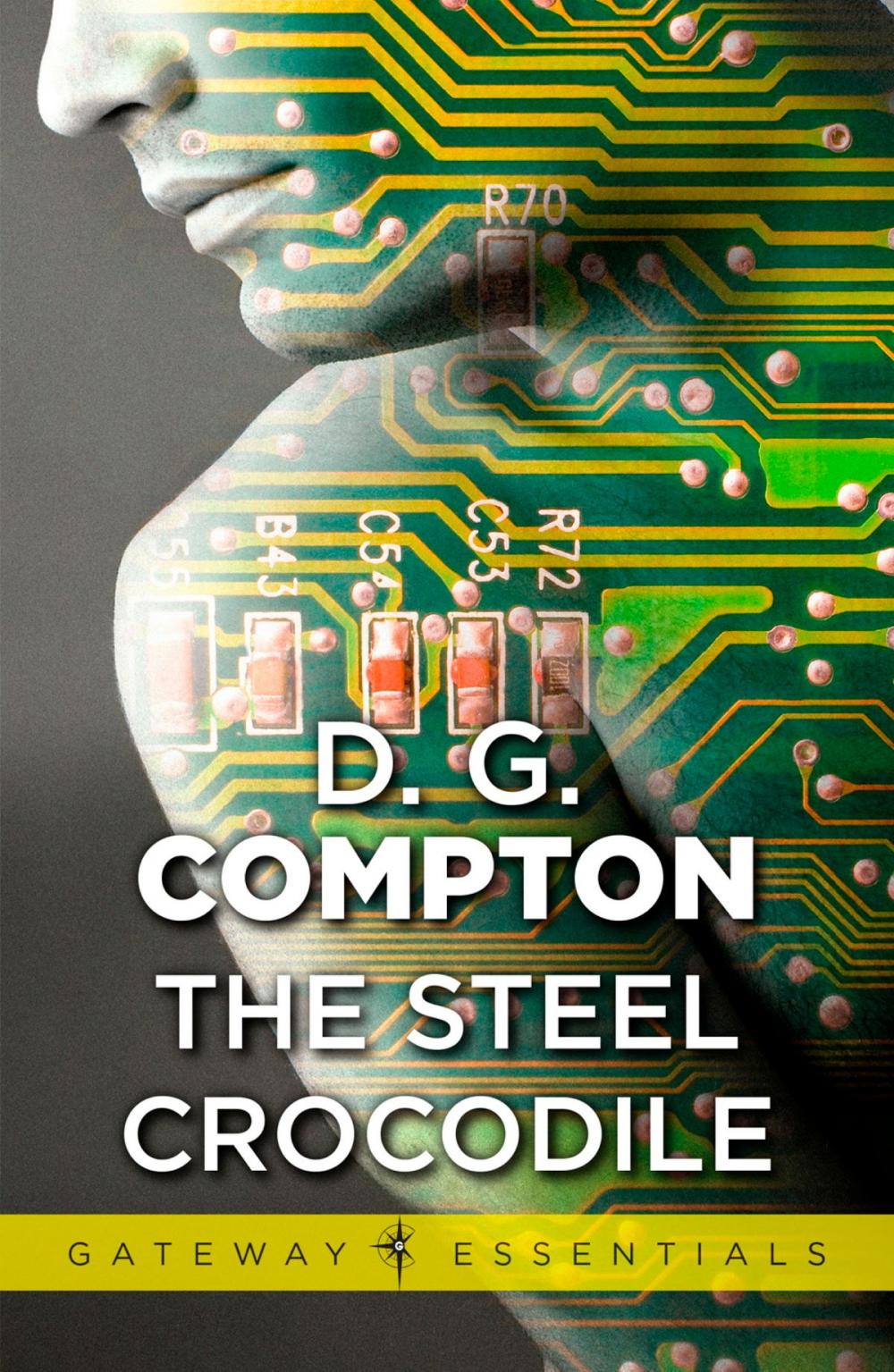 Big bigCover of The Steel Crocodile