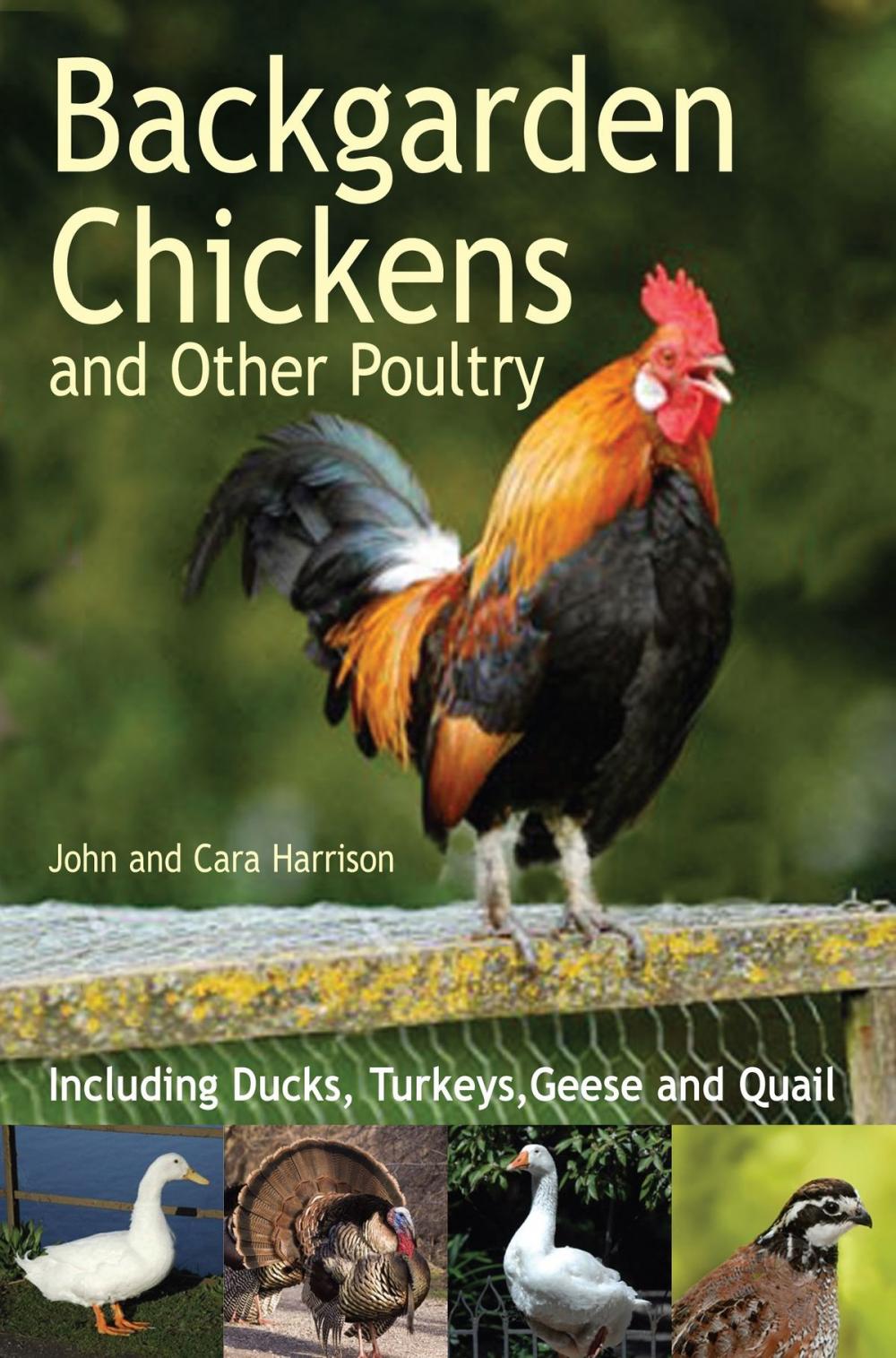 Big bigCover of Backgarden Chickens and Other Poultry