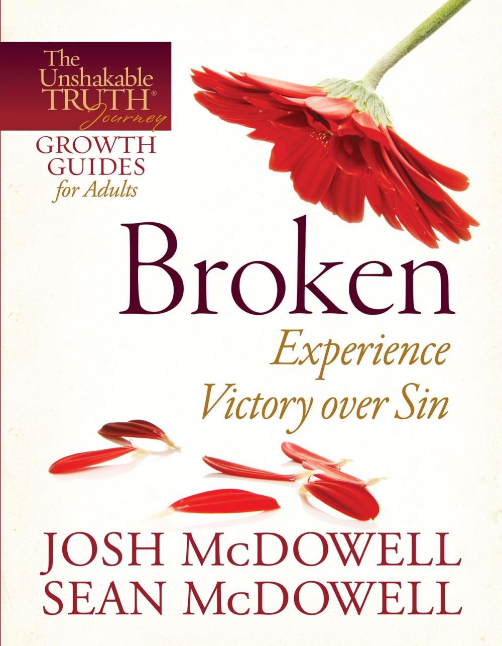 Big bigCover of Broken--Experience Victory over Sin