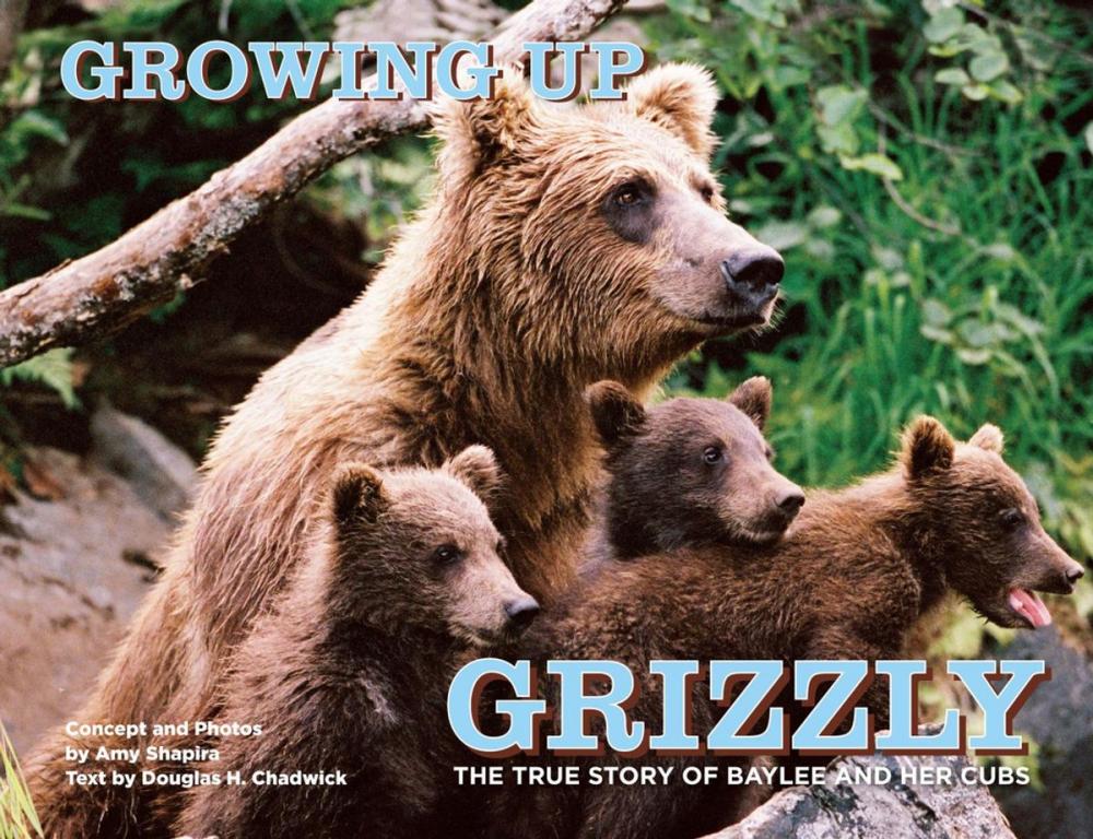Big bigCover of Growing Up Grizzly