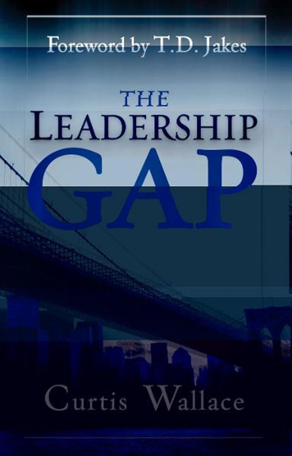 Big bigCover of Leadership Gap: Motivate and Organize a Great Ministry Team