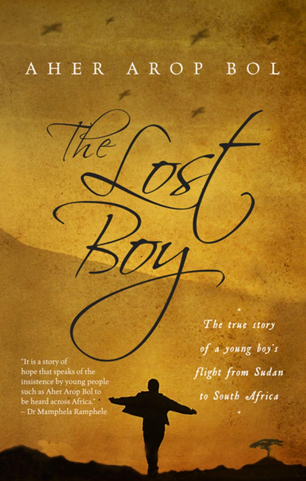 Big bigCover of The lost boy