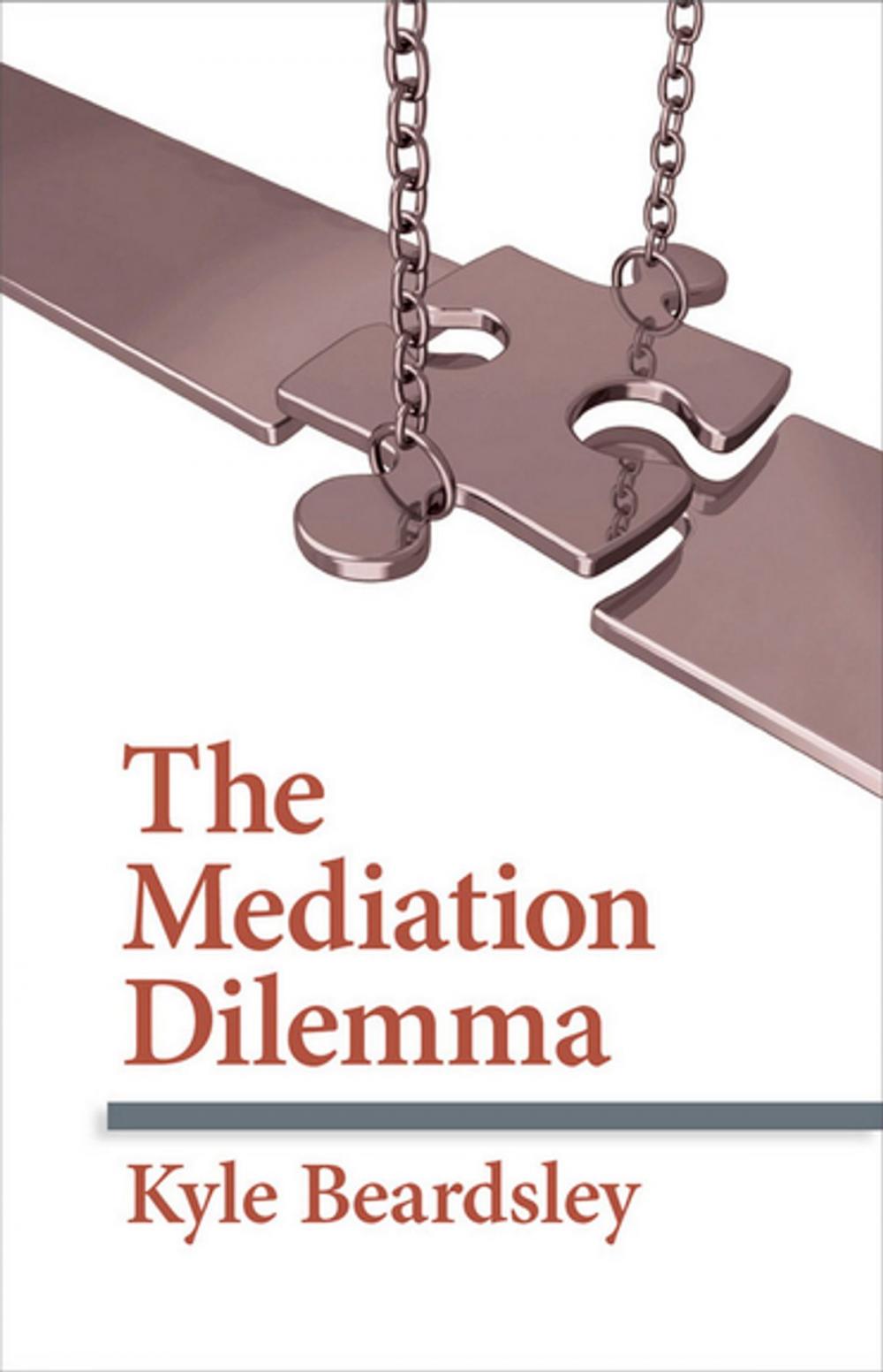 Big bigCover of The Mediation Dilemma