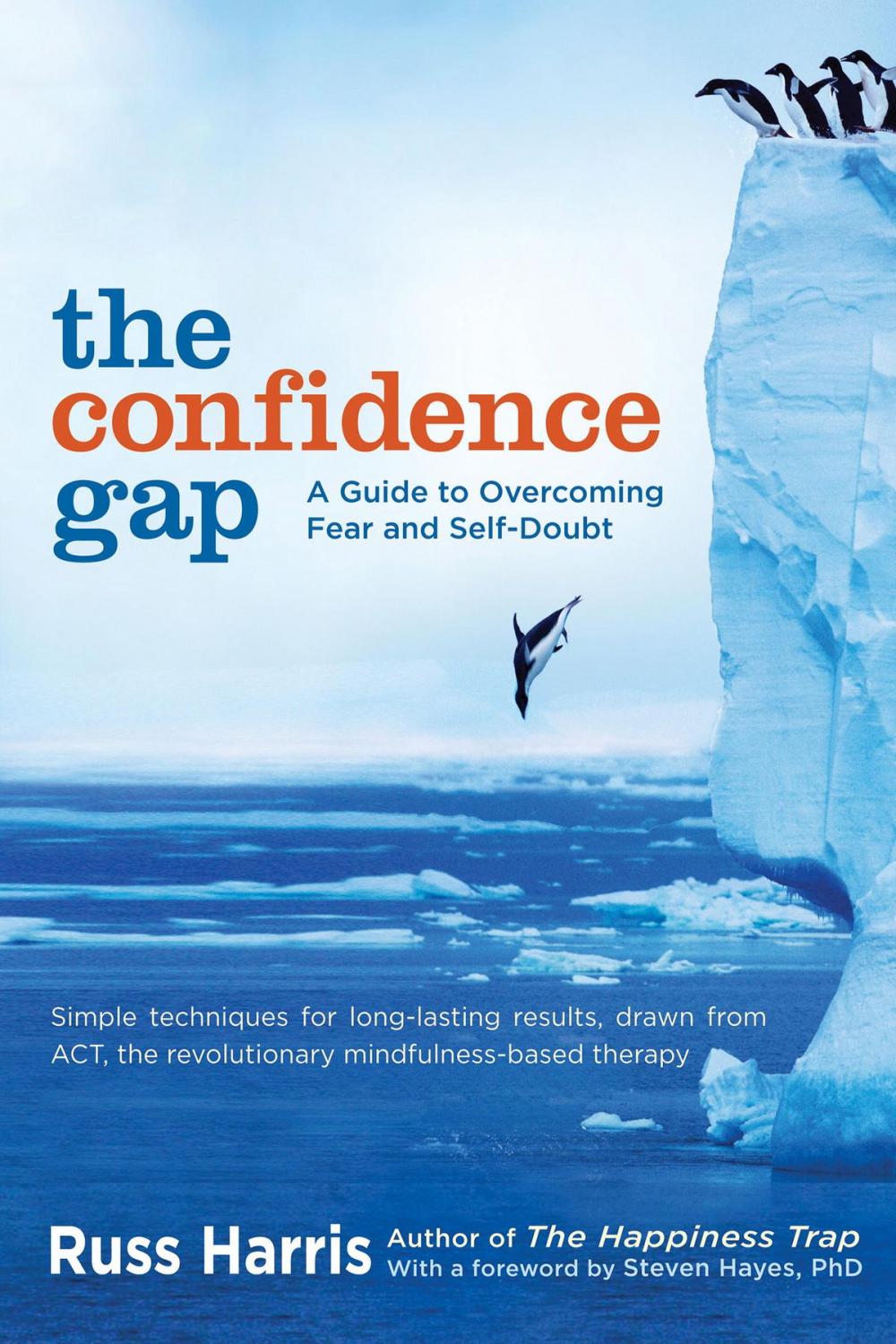 Big bigCover of The Confidence Gap